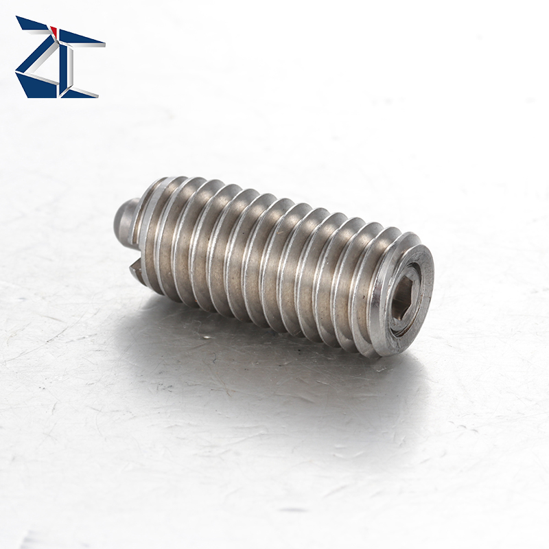 독점 제안 개폐식 스프링 플런저 스프링 장착 플런저 헤비 듀티 스프링 플런저