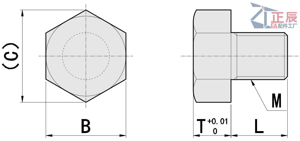 스톱 핀 스크류 타입 T 표준 STEHN SSTEH