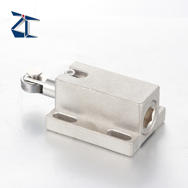 ZTBPJ 롤러 플런저 장착 수직 또는 측면 장착 옵션