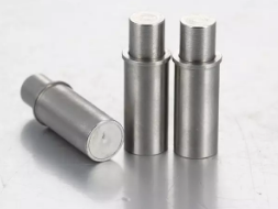 스테인레스 스틸 스프링 플런저