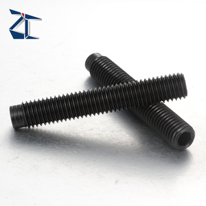 육각 소켓 고정 나사 도그 포인트 304 스테인레스 스틸 M4 - M10 거친 MSSG