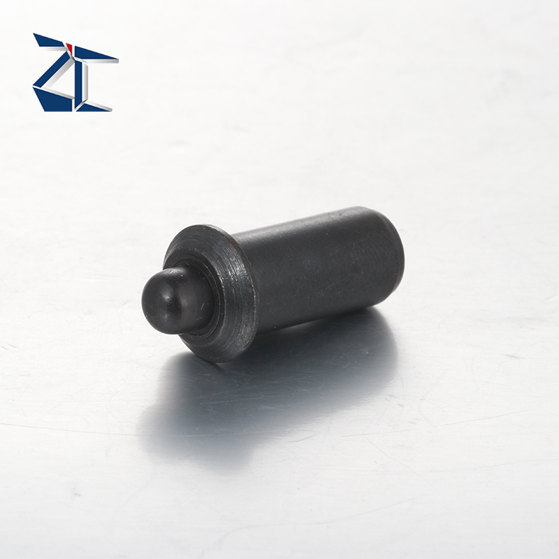 인치 쇼트 스트로크 스프링 플런저 고정나사 플런저 