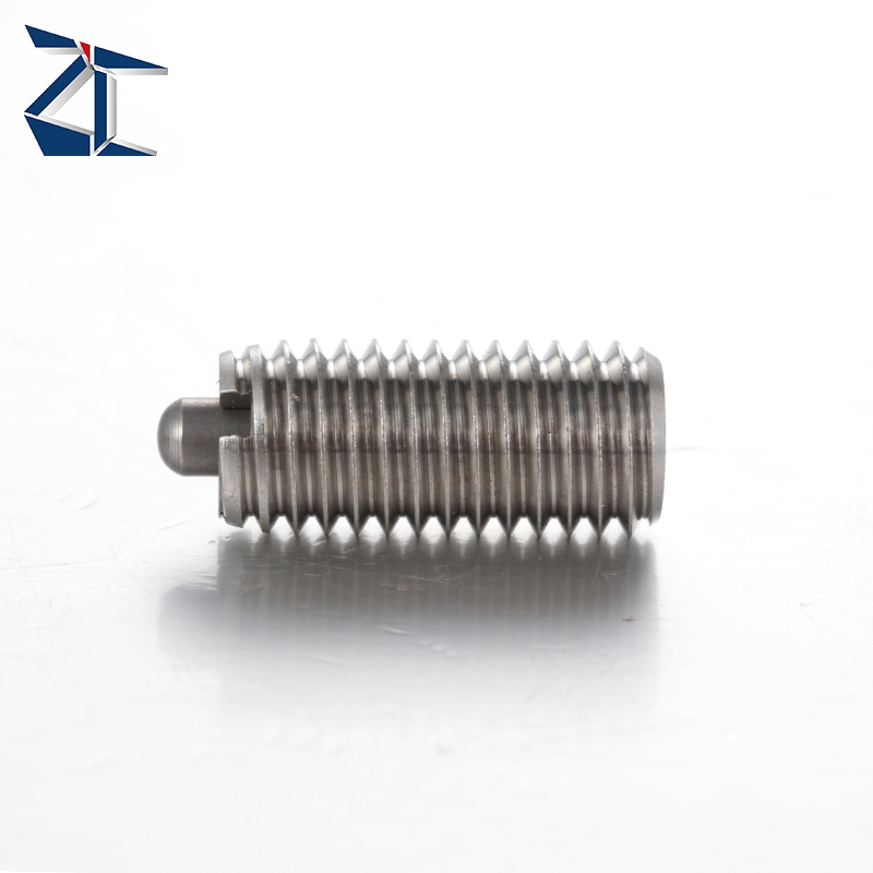 독점 제안 개폐식 스프링 플런저 스프링 장착 플런저 헤비 듀티 스프링 플런저