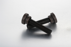 스러스트 포인트가 있는 그러브 나사 세트 SGTS SGTP