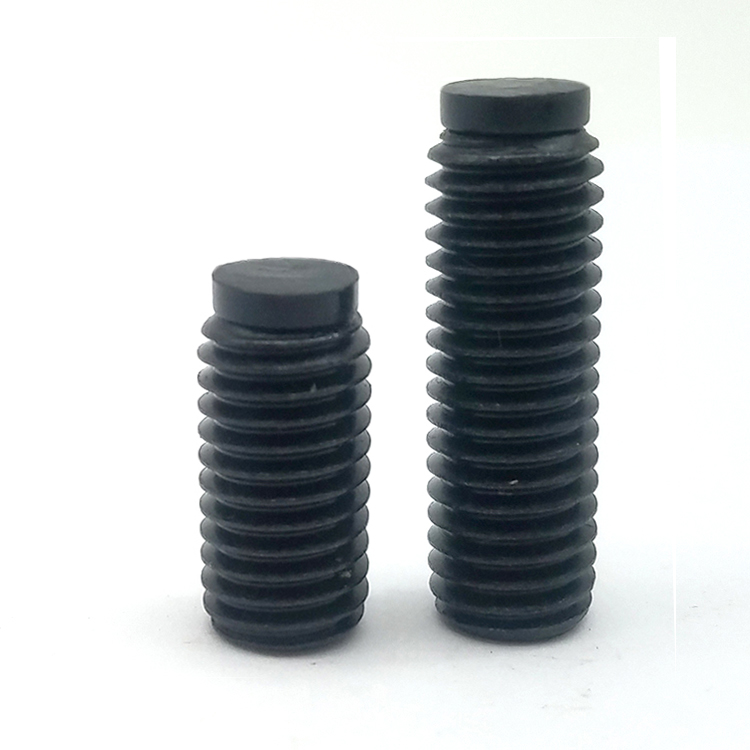 맞춤형 스테인레스 스틸 정지 나사