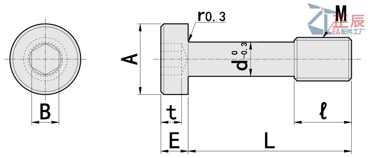스테인레스 스틸 캡티브 나사 로우 헤드 육각 드라이브 GUTBT