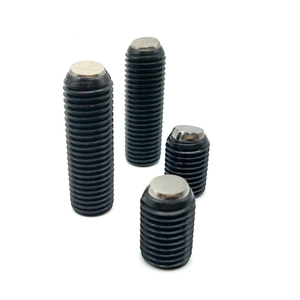 부드러운 회전 클램핑 나사 PT16A