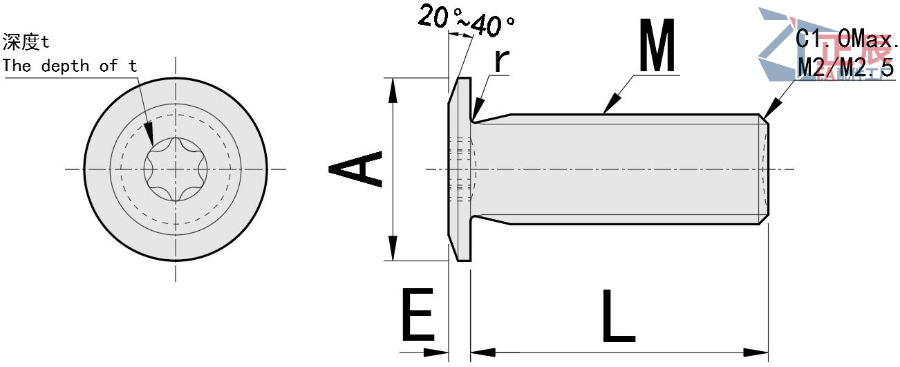 초저 프로파일 Torx 소켓 캡 나사 CBSTSE M2 M6