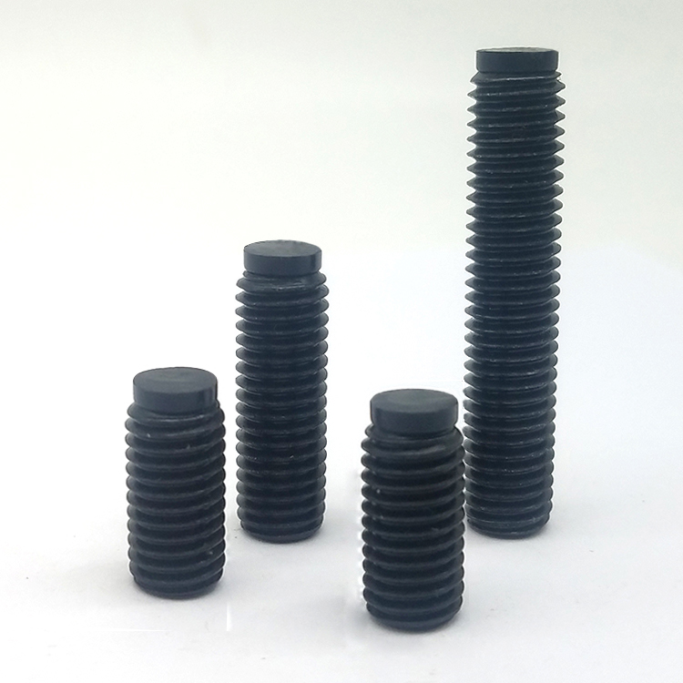 맞춤형 스테인레스 스틸 정지 나사